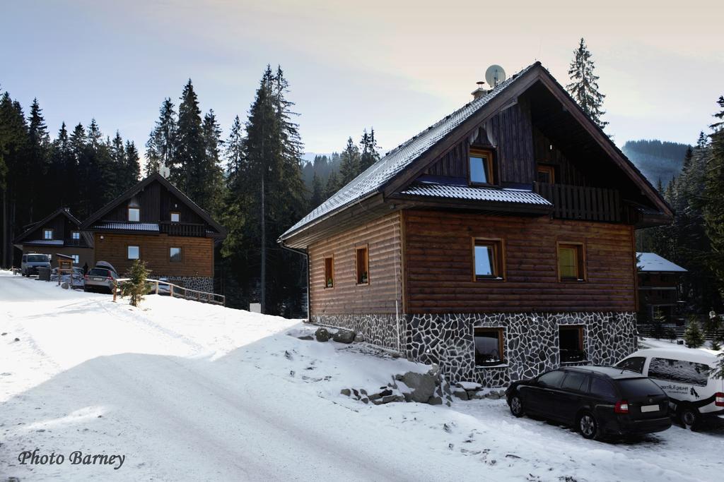 Apartment House Kongen Демяновская долина Номер фото